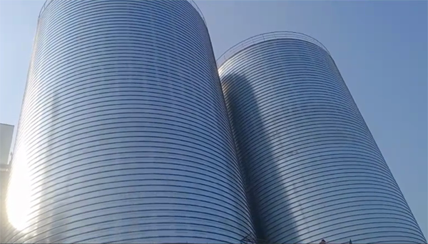 临高2座混凝土高架卷板仓