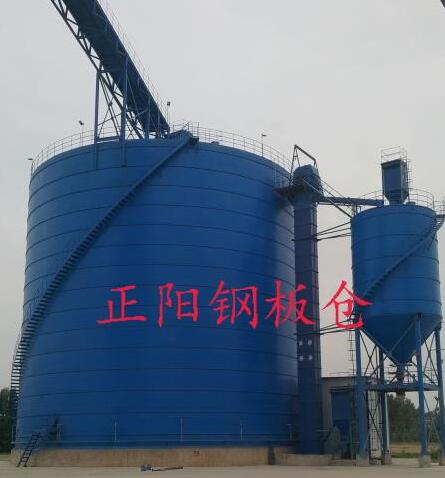 临高大型矿粉钢板库